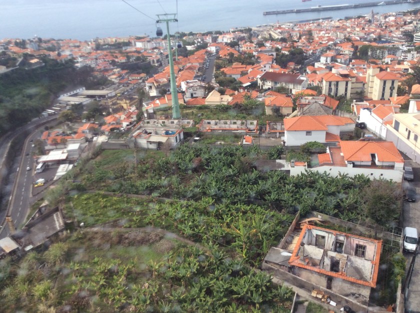 Looking down on Funchal