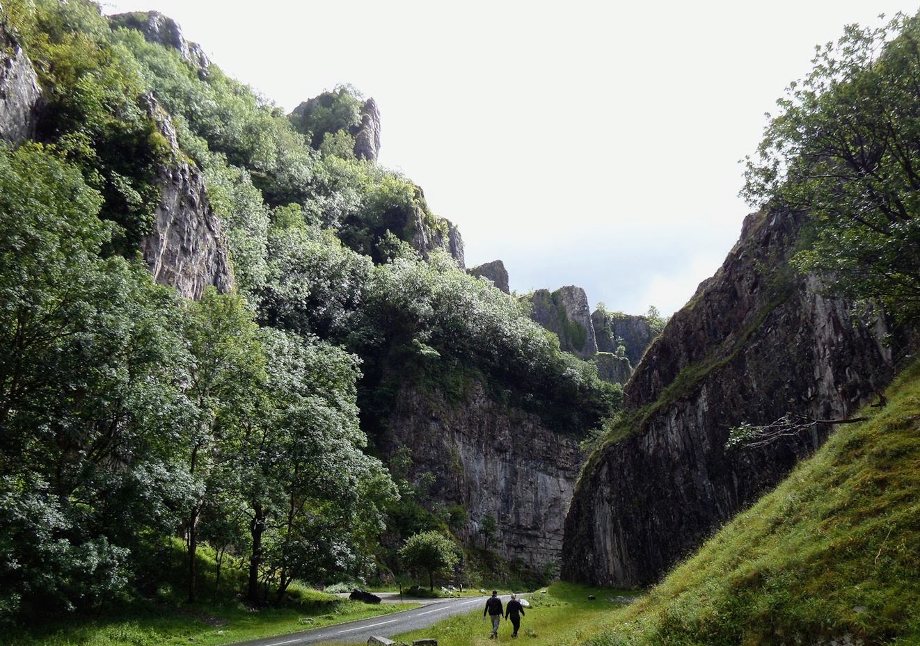 SAMSUNG CAMERA PICTURES